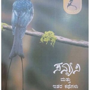 Sanyasi mattu itara Kathegalu