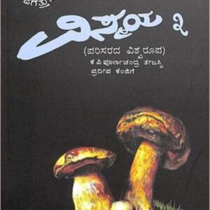 Vismaya -3
