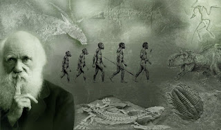 evolation